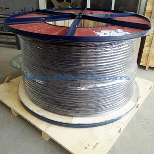 Oil Well Heating Cable Encapsulated Stainless Steel Tubing for Better Liquidity